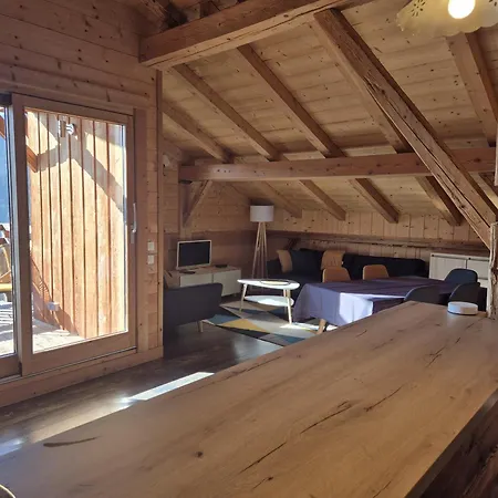 Duplex Spacieux Avec Terrasse Sud Et Animaux Admis - Fr-1-836-1