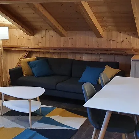 Duplex Spacieux Avec Terrasse Sud Et Animaux Admis - Fr-1-836-1