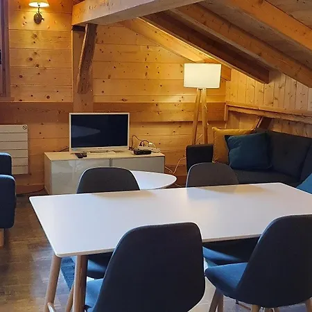 Appartement Duplex Spacieux Avec Terrasse Sud Et Animaux Admis - Fr-1-836-1