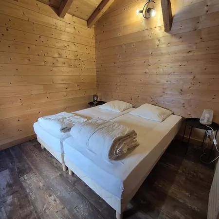 Duplex Spacieux Avec Terrasse Sud Et Animaux Admis - Fr-1-836-1 Les Carroz d'Arâches