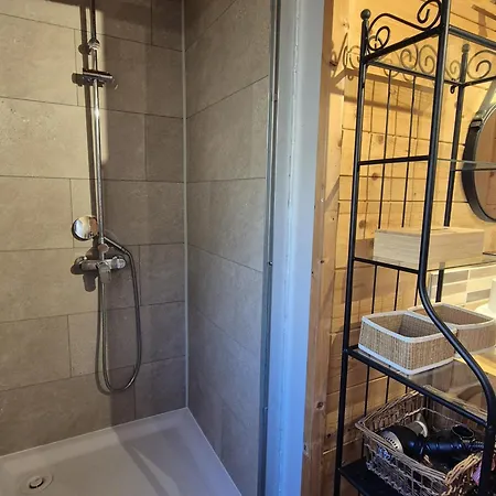 Duplex Spacieux Avec Terrasse Sud Et Animaux Admis - Fr-1-836-1 * Les Carroz d'Arâches
