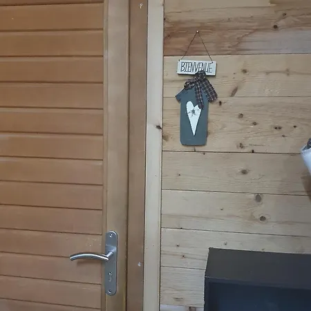 Appartement Duplex Spacieux Avec Terrasse Sud Et Animaux Admis - Fr-1-836-1 Les Carroz d'Arâches